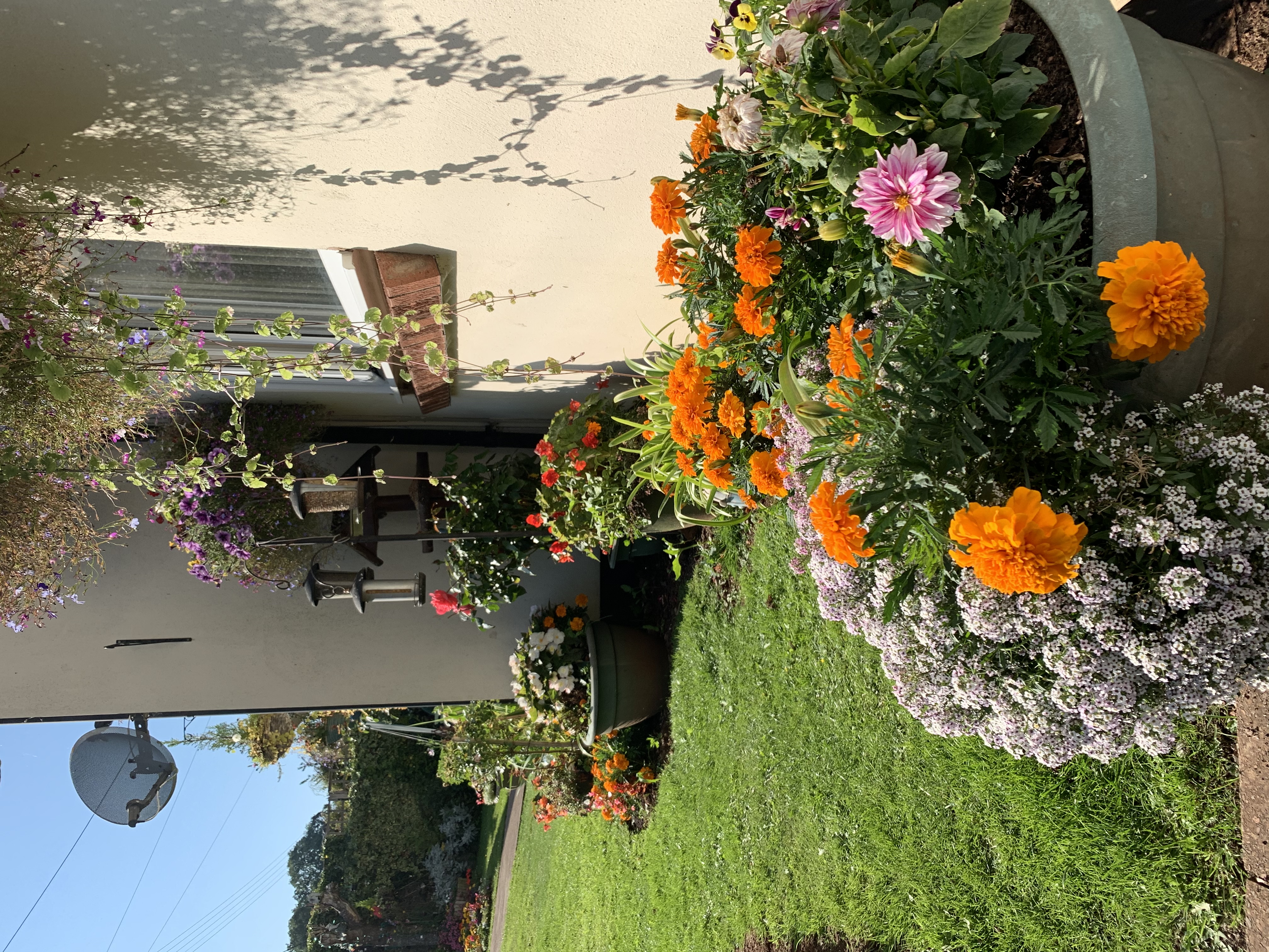 Hyde View Gardens