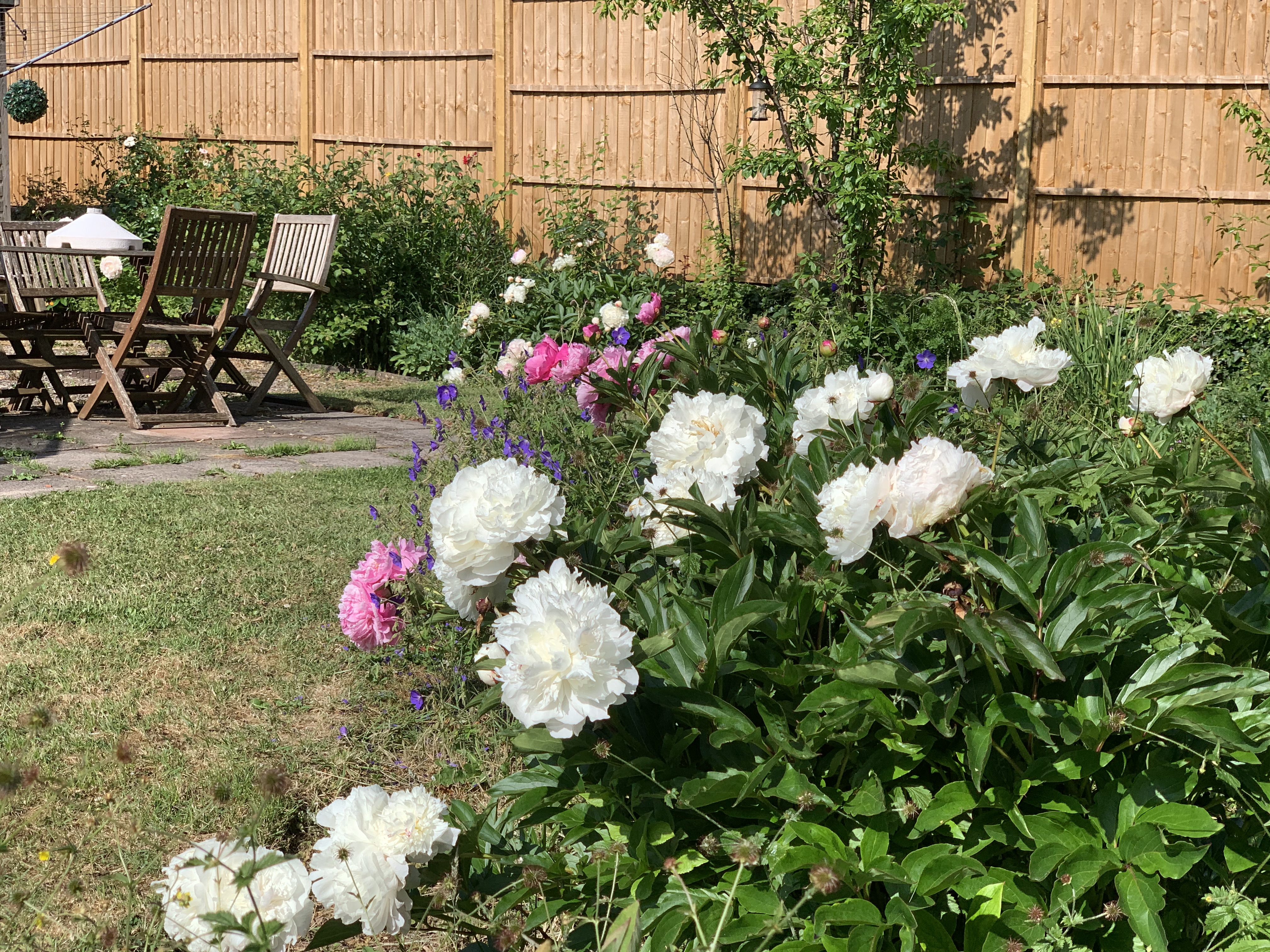 Hyde View Gardens, a place filled with everyday memories